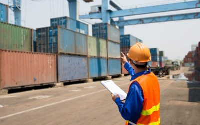 How Long Do New Shipping Containers Last and How Can I Make the Most of Them?