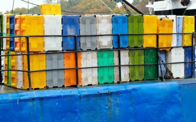 How Used Shipping Containers Are Transforming Backyard Offices